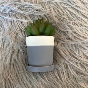 Bath & Body Works Desk Succulent Cactus Plant Pocket Hand Gel Holder.